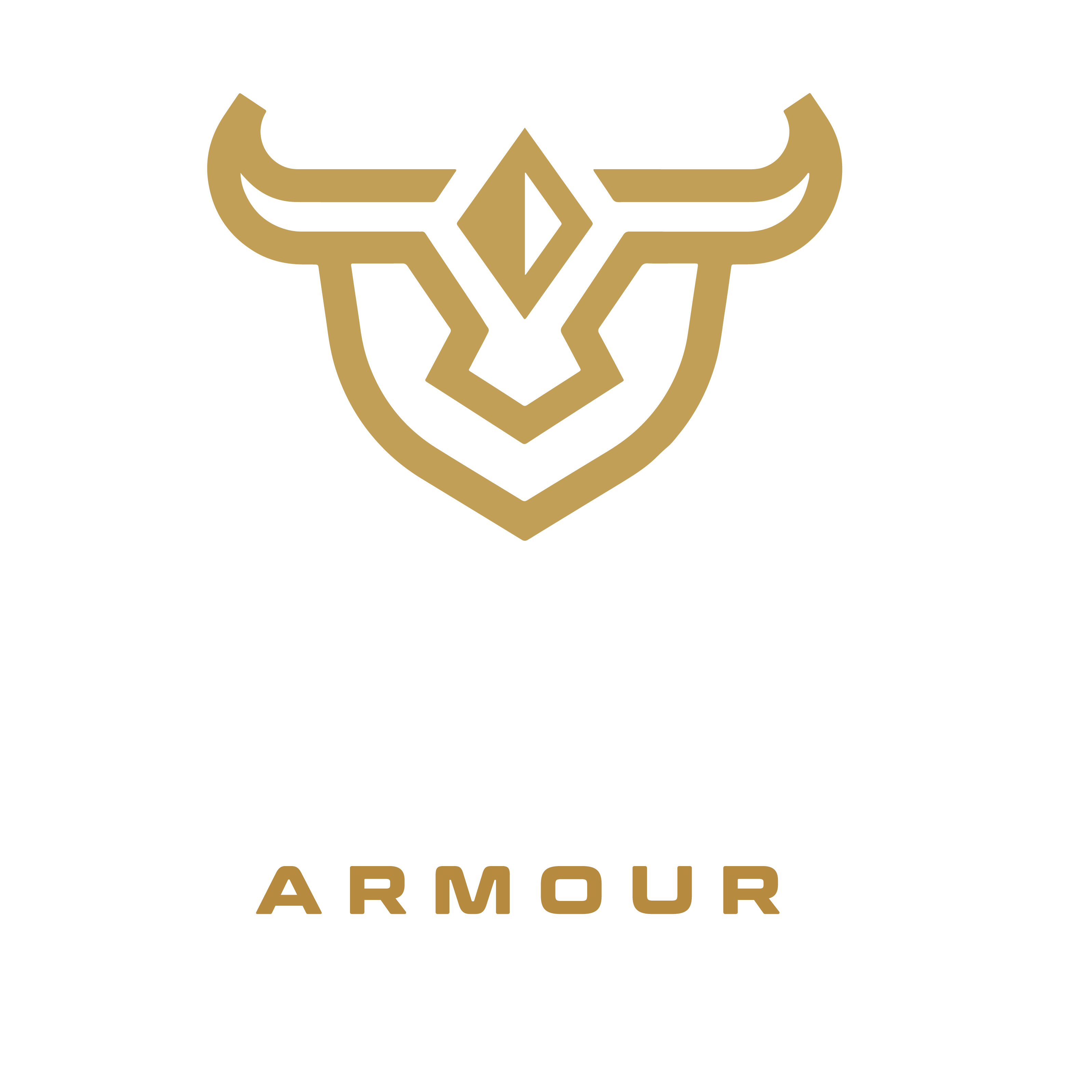 Stock Armour
